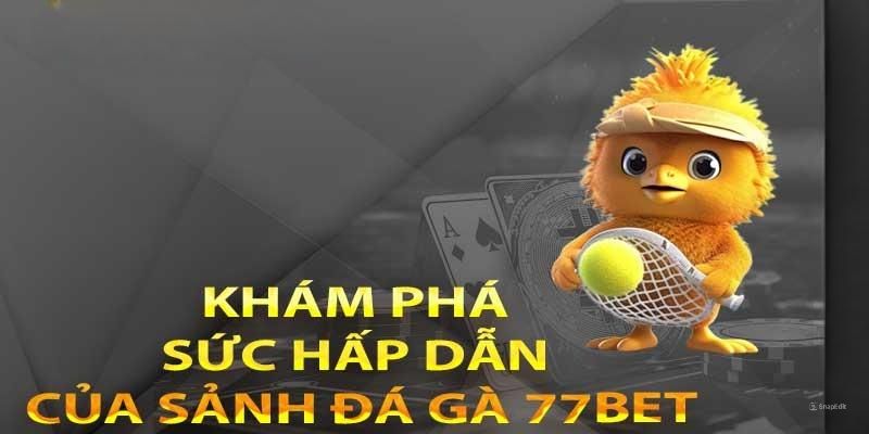 Giới thiệu cụ thể về sân chơi đấu chiến kê online 77BET